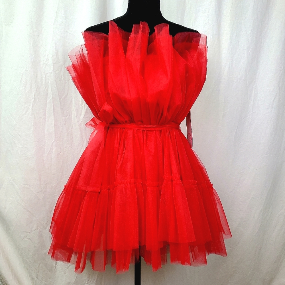 Delicious Holiday Red Tulle Dress